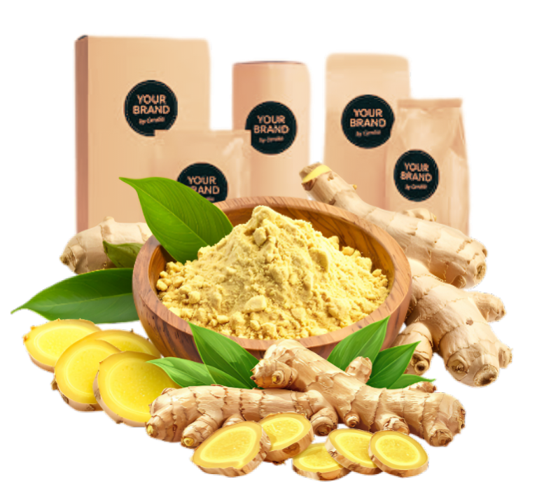 Ginger powder exporter from India for bulk import
